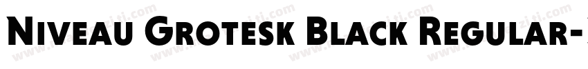 Niveau Grotesk Black Regular字体转换